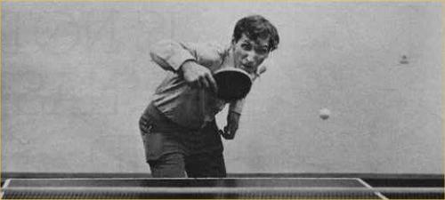 536785_276971419057661_26979432_n