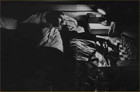 578039_276971392390997_790786258_n