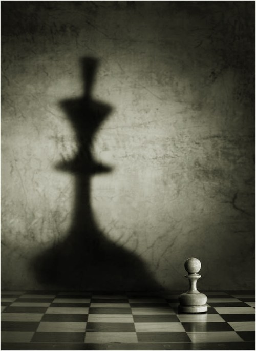 1381324_536726713082129_1304928376_n