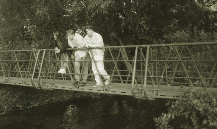 35066_446932253486_727863_n