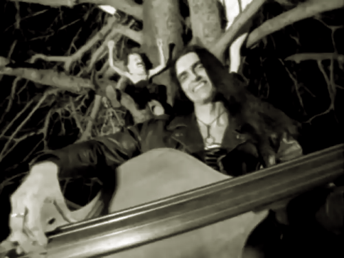 vlcsnap-2017-02-08-16h03m03s374