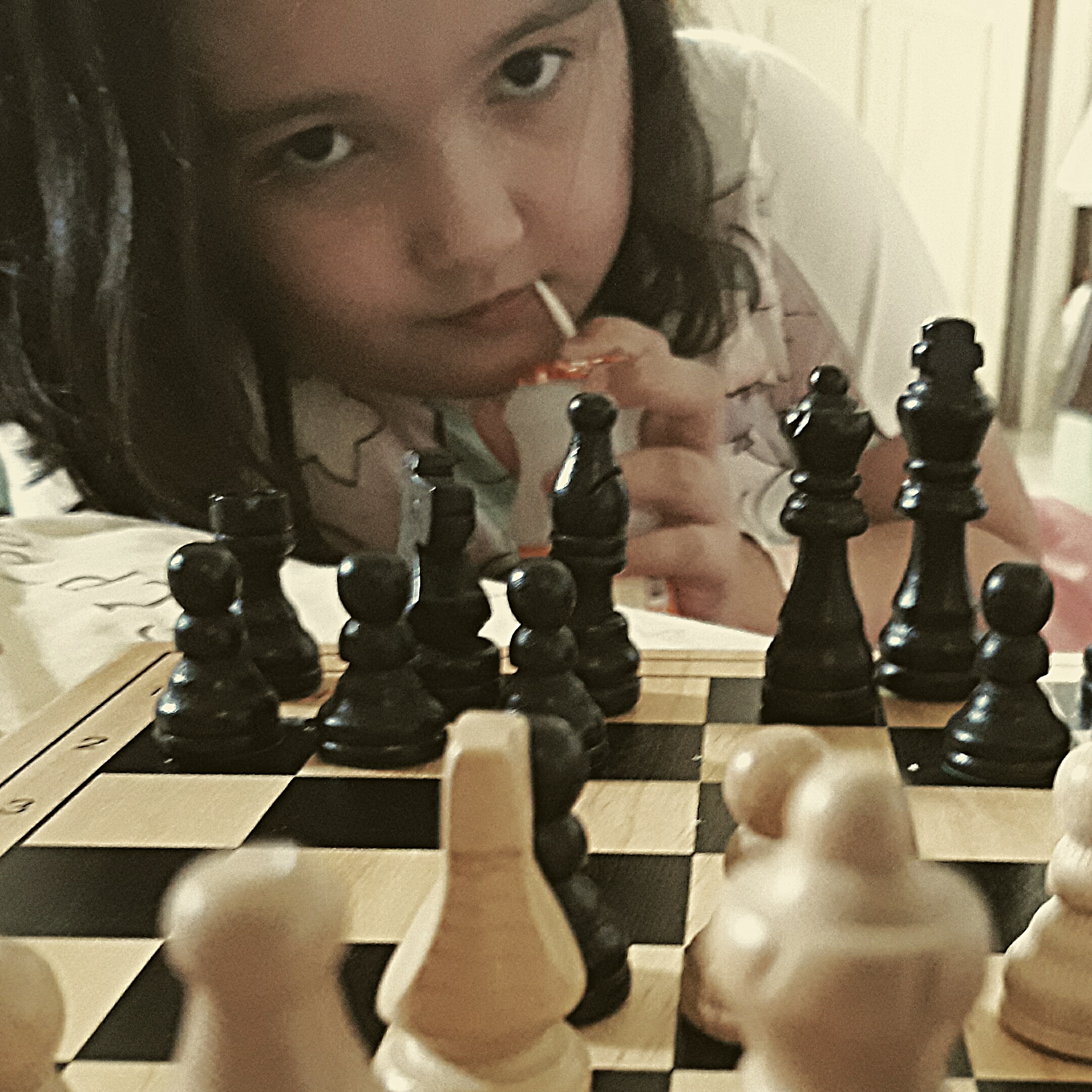 aviary-image-1564320776517